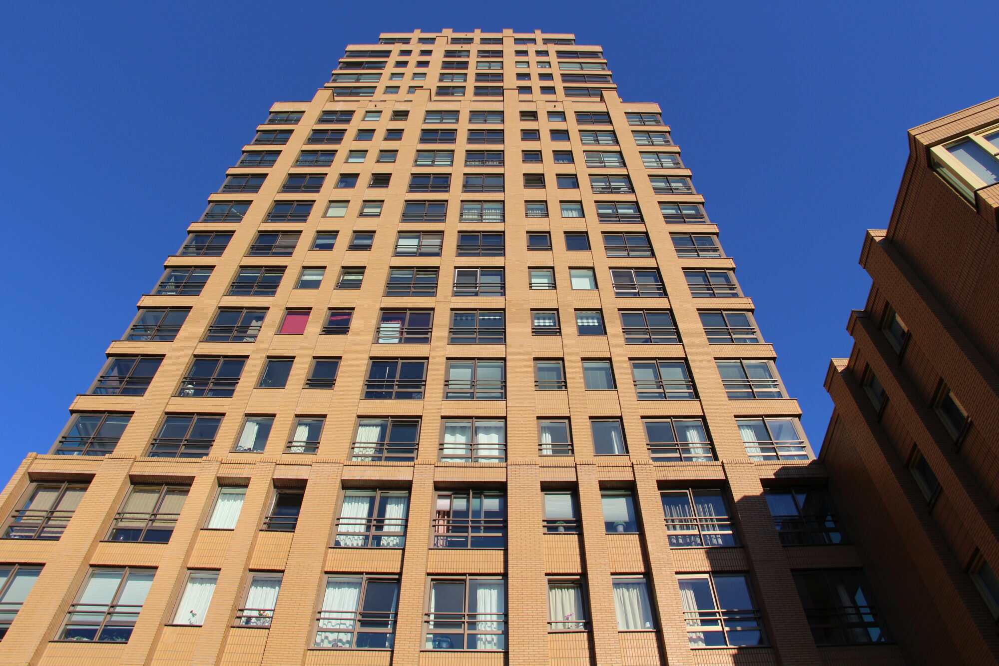 Rotterdam_-_Wijnhaeve_28229